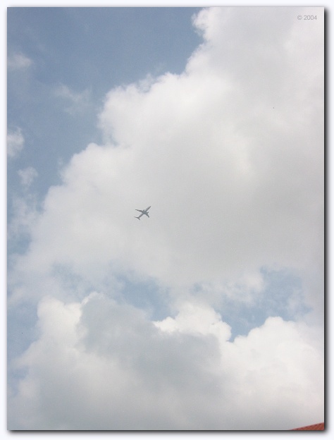 452x601 pixels (55K)